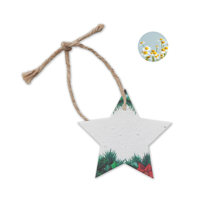 Decorazione natalizia in carta con semi di fiori cdi campo, con corda di juta, a forma di stella — gadget promozionale personalizzabile con il tuo logo