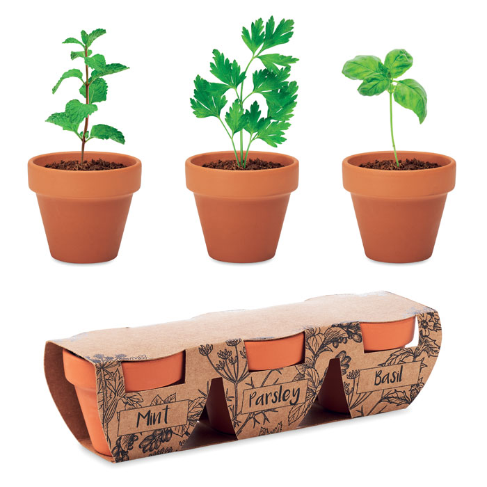 Set di erbe in terracotta — gadget promozionale personalizzabile con il tuo logo