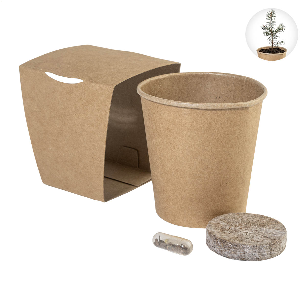 Kit albero di Natale — gadget promozionale personalizzabile con il tuo logo