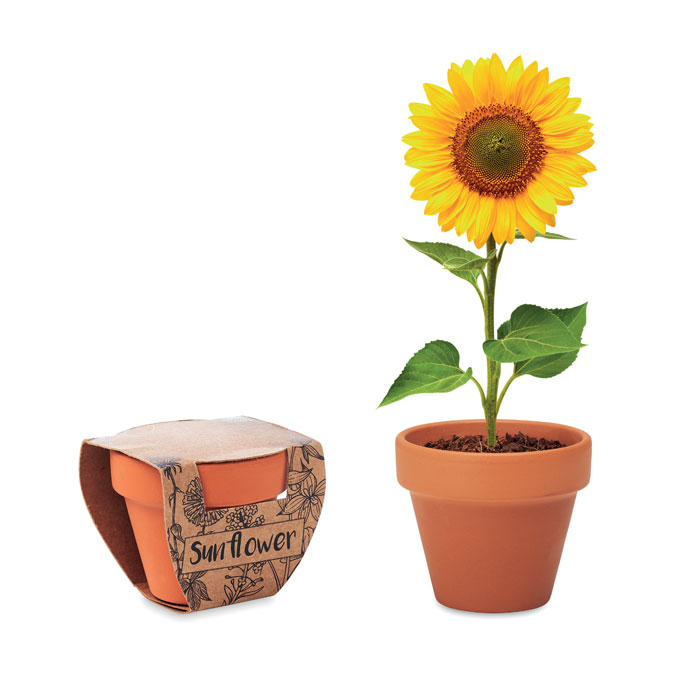 Semi di girasole — Sport & Outdoor personalizzabile con il tuo logo